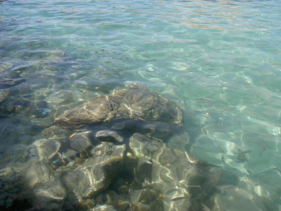 Meer Valentin Reina Paguera