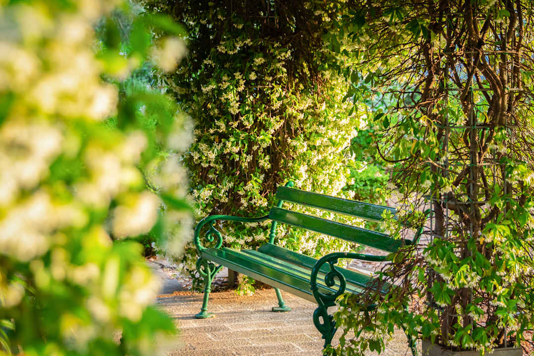 Gartenanlage Aminess Vival Casa Velaris