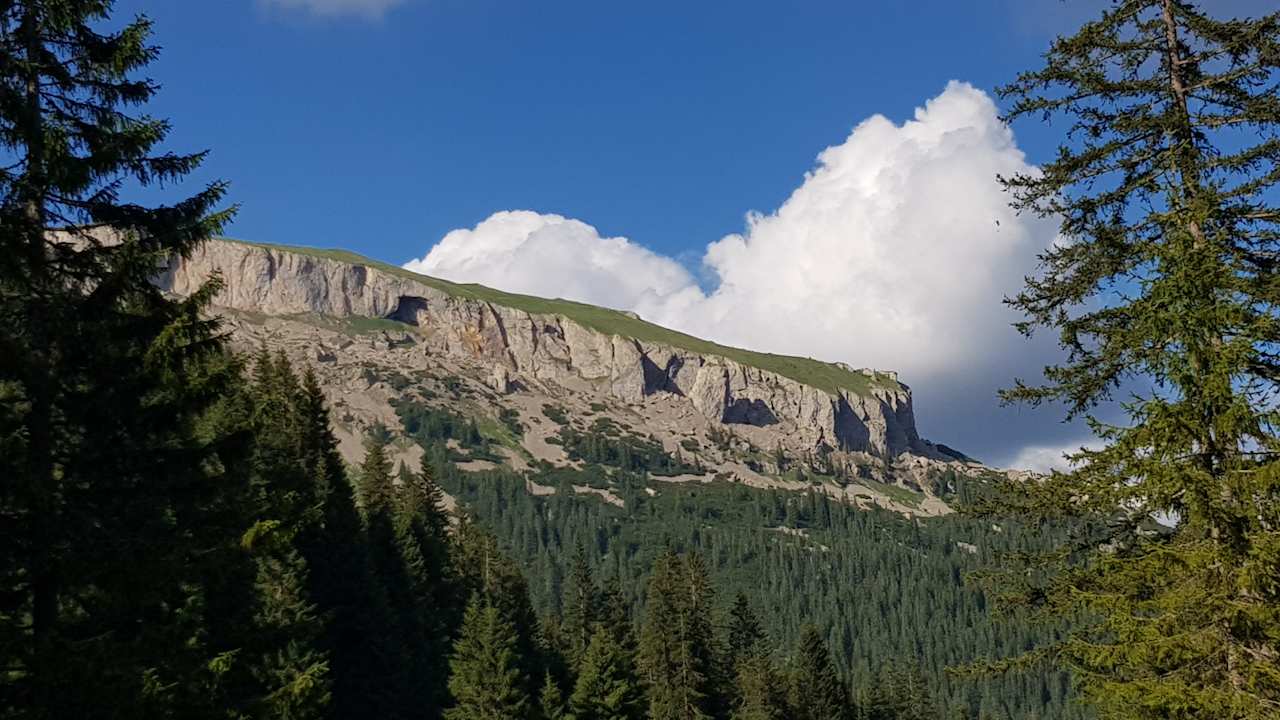 Sonstiges Hotel Rosenstock