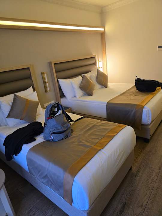 Zimmer Aydinbey Kings Palace & Spa