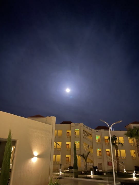 Ausblick Pickalbatros Aqua Blu Resort - Hurghada