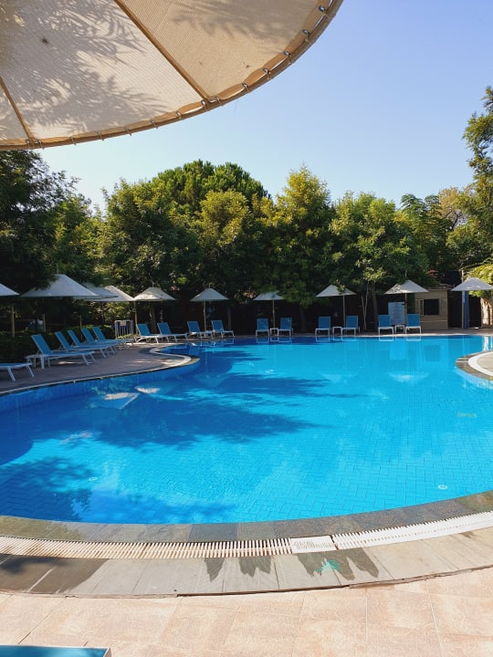 Pool Can Garden Beach