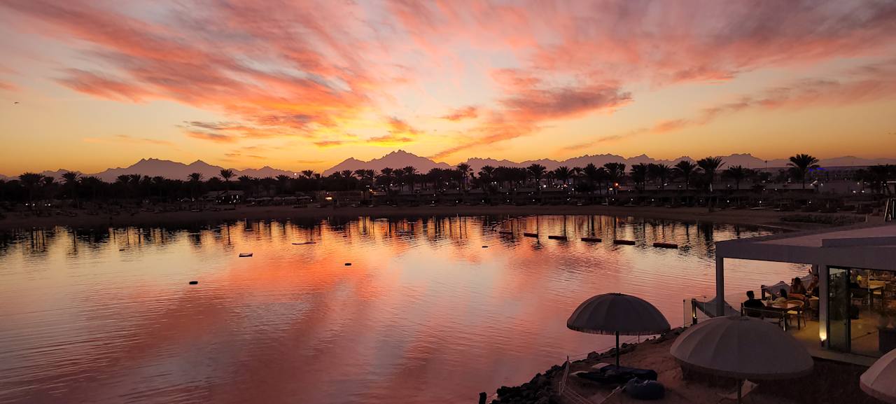 Ausblick Desert Rose
