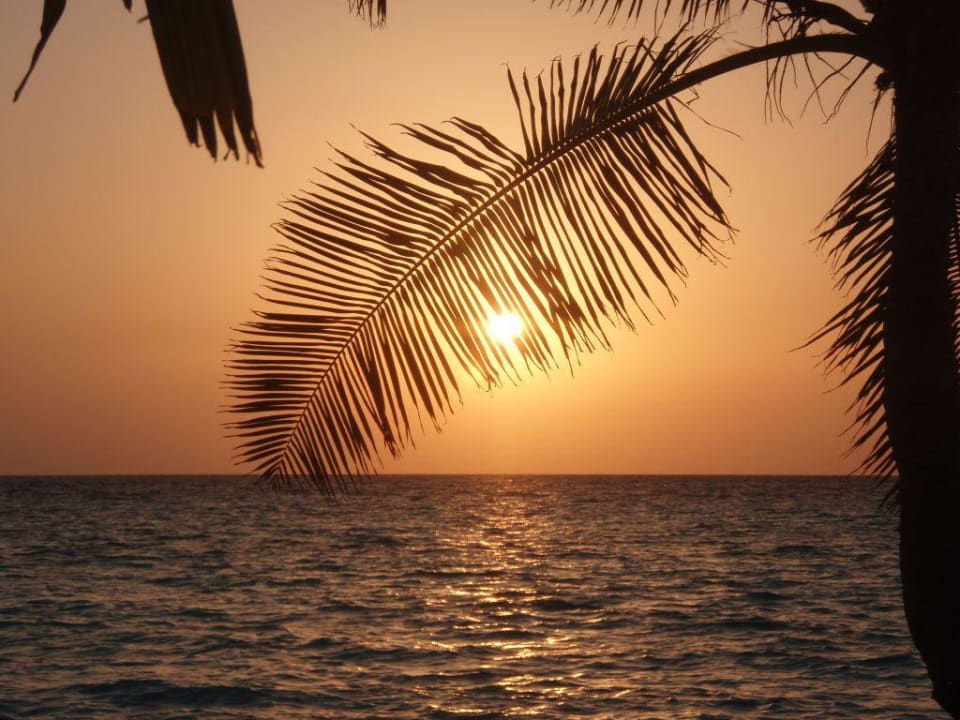 Sonnenuntergang Thulhagiri Island Resort