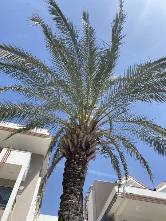 Pool Side Story Resort & Spa