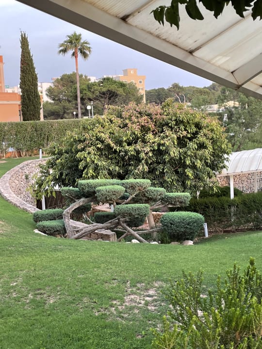 Pool Hipotels Hipocampo Palace & Spa