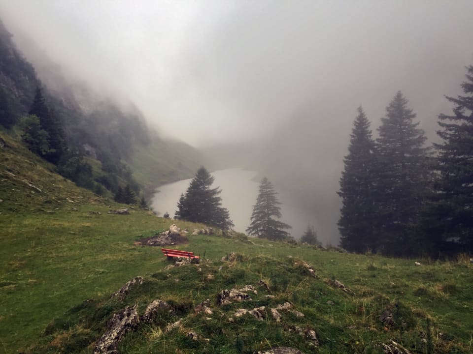 Sicht zum See Berggasthaus Bollenwees