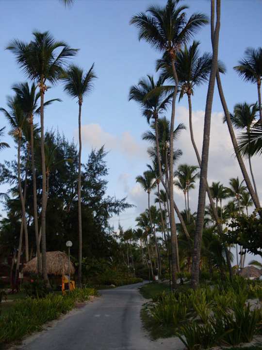 Weg neben dem Strand entlang Grand Palladium Select Bávaro Resort & Spa