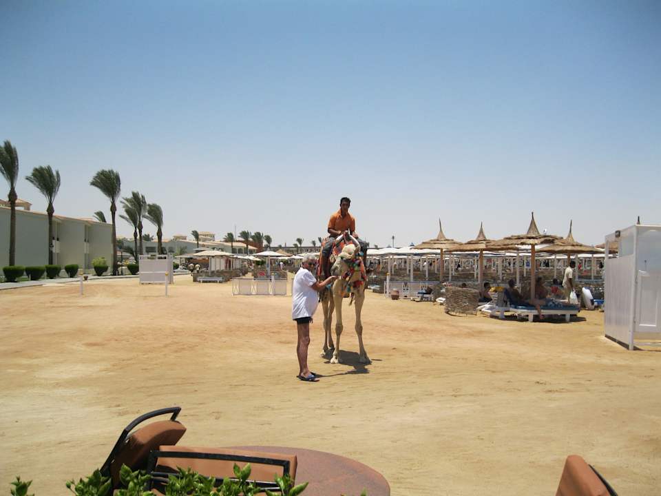 Strand Juni 2012 Pickalbatros Alf Leila Wa Leila Resort - Neverland Hurghada