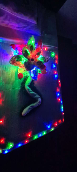 Zimmer Three Corners Sea Beach Resort