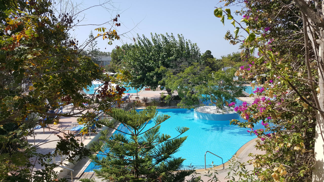 Der Pool  Caravia Beach Hotel