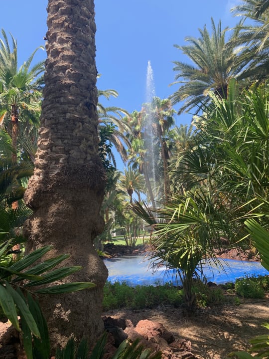 Gartenanlage Hotel Riu Palace Oasis