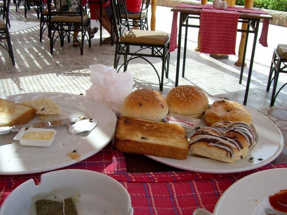 Fliegenproblem Pickalbatros Alf Leila Wa Leila Resort - Neverland Hurghada