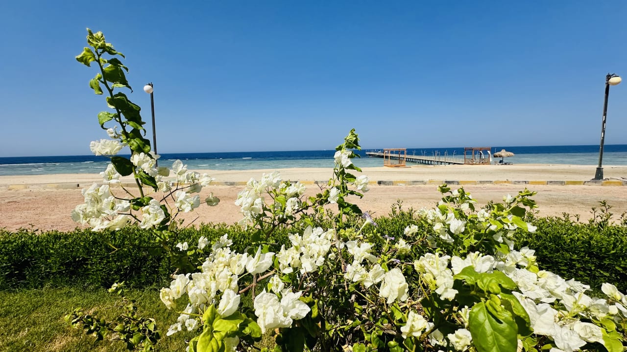 Ausblick Malikia Resort Abu Dabbab