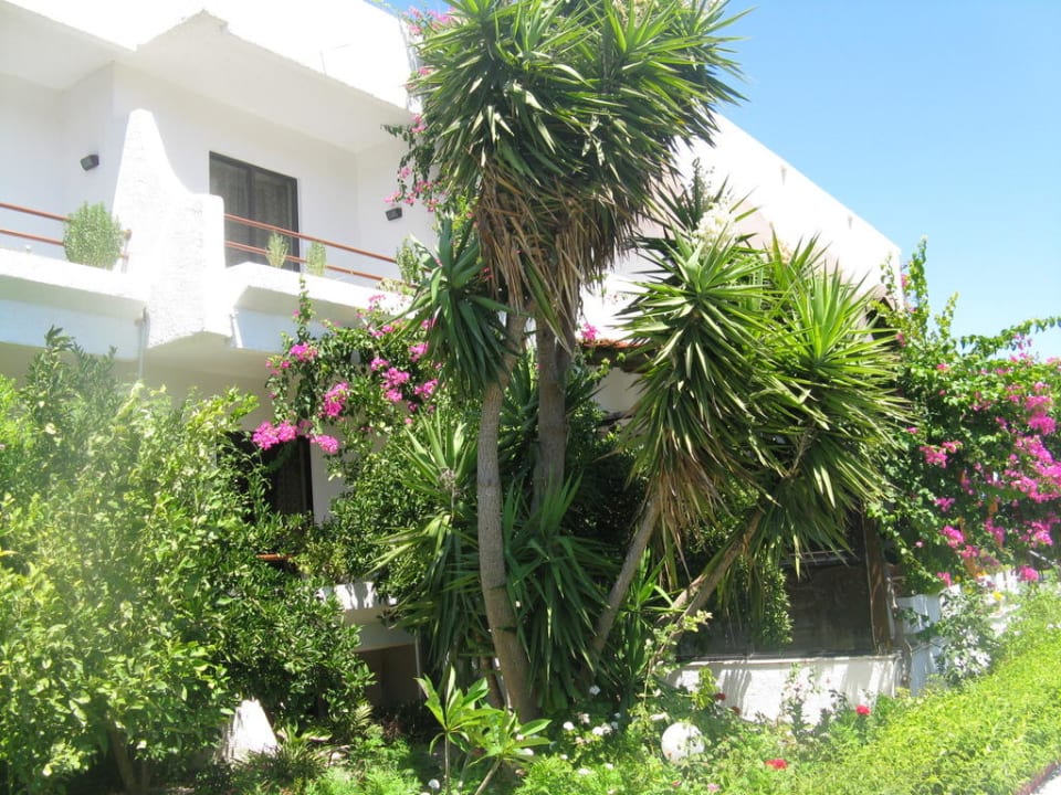 Vor dem Hotel Hotel Tina Flora