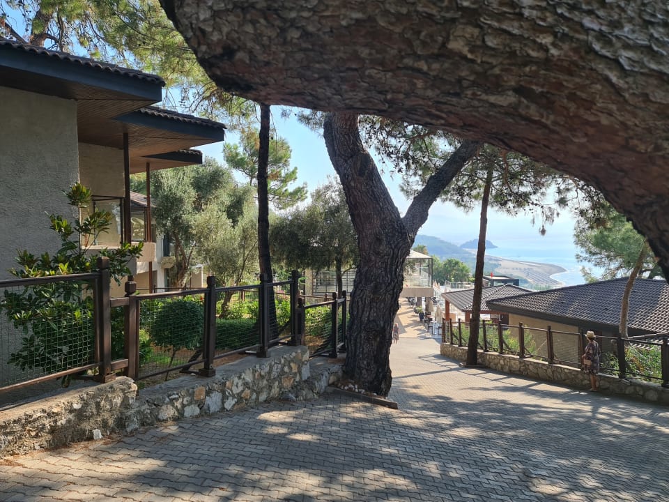 Sonstiges TUI BLUE Seno - Adults Only