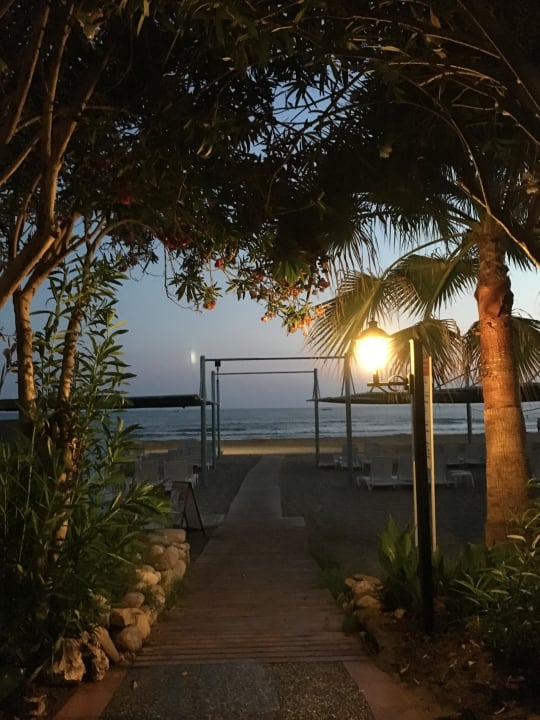 Gartenanlage Iz Flower Side Beach Hotel