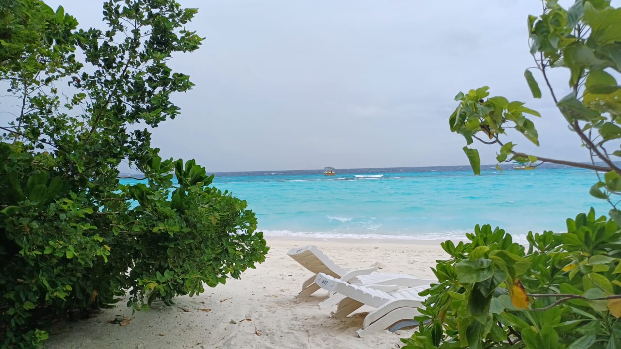 Strand Summer Island Maldives