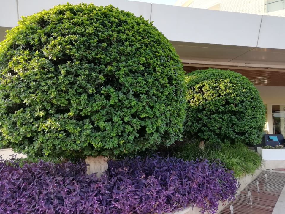 Außenansicht Gold Island Selected