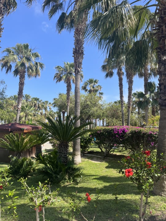 Gartenanlage VONRESORT Golden Coast