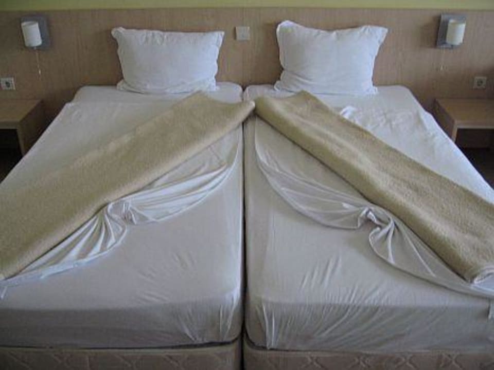 Bettendecko Park Hotel Golden Beach