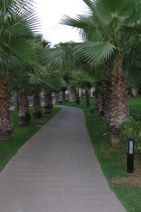 Сад Sirene Belek Hotel