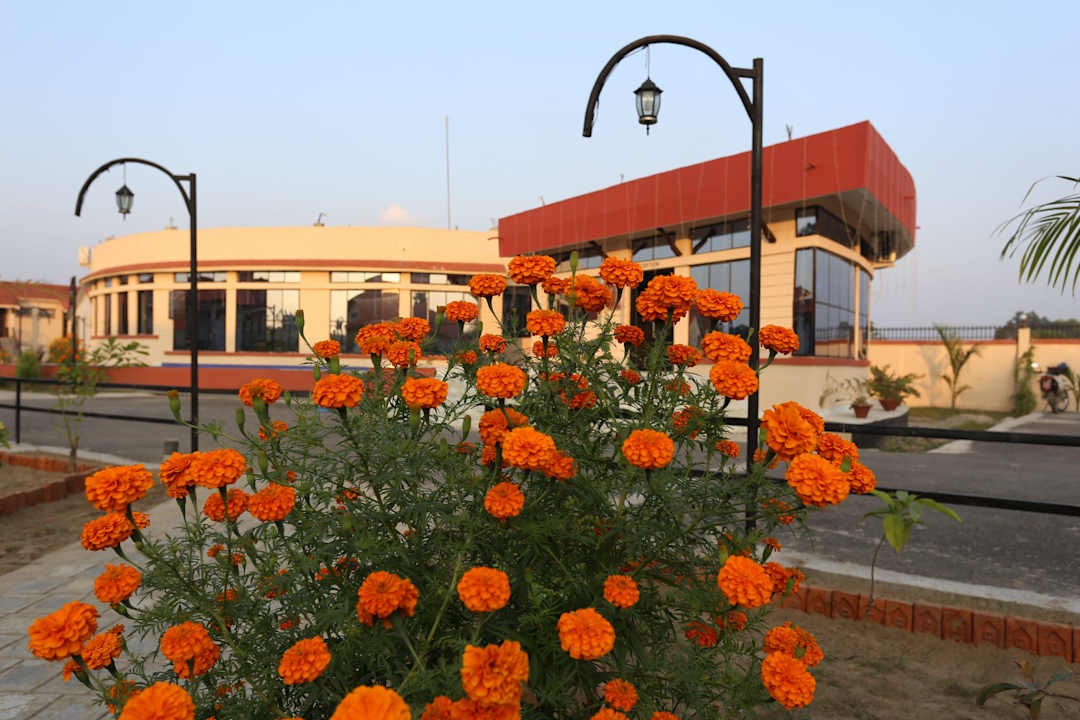 Exterior Hotel Seven Star