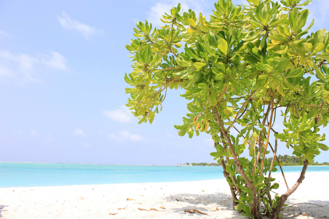Aussicht Meeru Maldives Resort Island