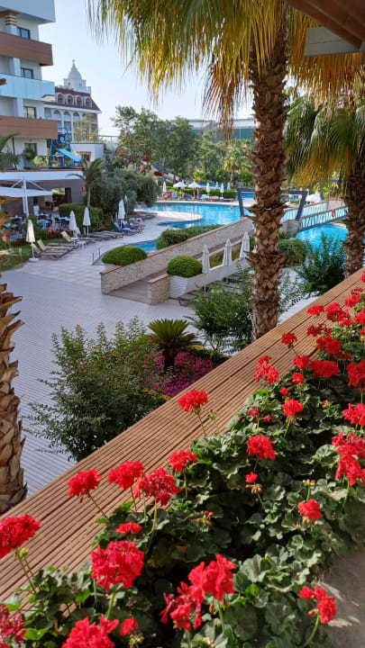 Pool Terrace Elite Resort