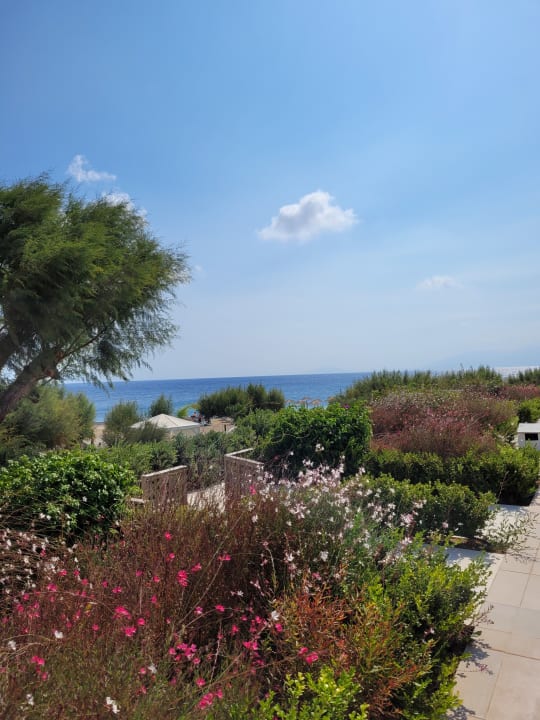 Gartenanlage TUI BLUE Oceanis Beach and Spa Resort