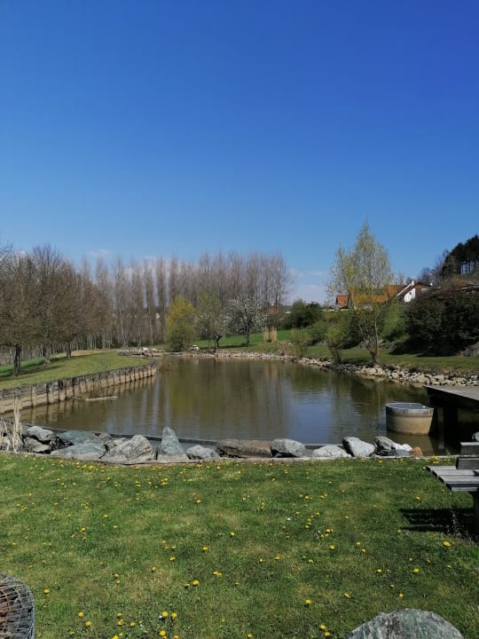 Gartenanlage Wilfinger Bio Thermen Hotel