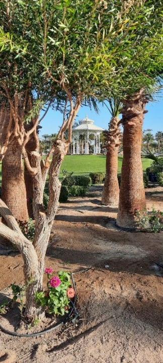 Gartenanlage Steigenberger ALDAU Beach Hotel