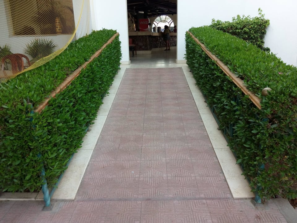 Вход а бар Shams Safaga Resort