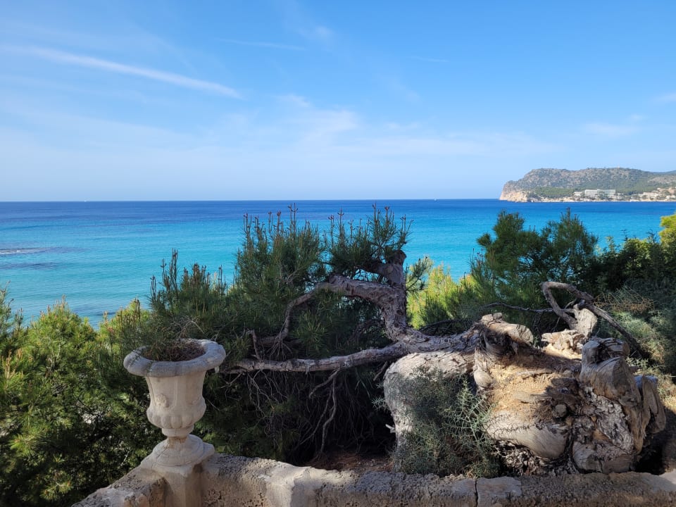 Ausblick Universal Hotel Lido Park & Spa