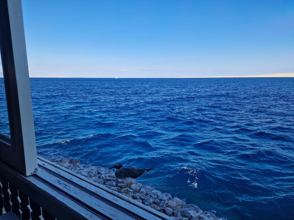 Gastro Arabella Azur Resort