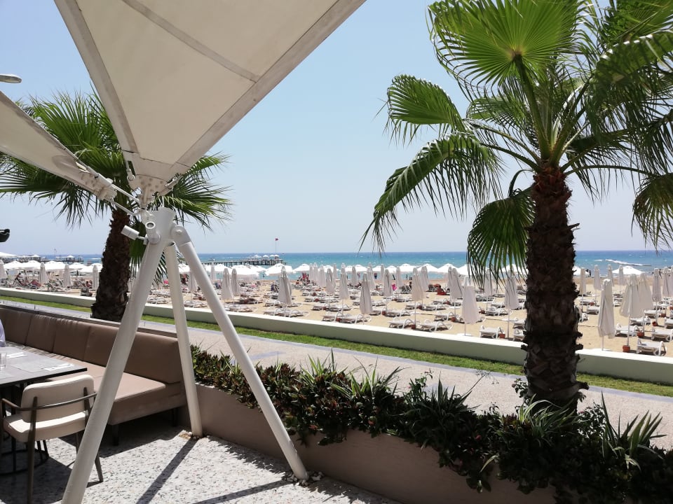 Ausblick PALOMA Perissia
