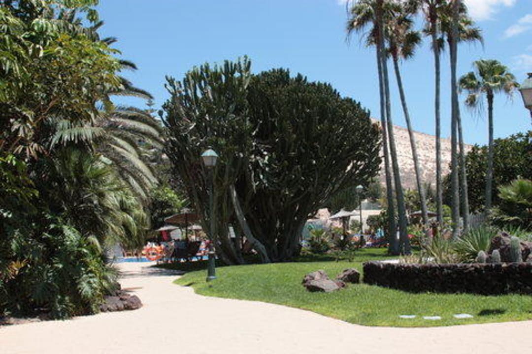 Gartenlandschaft auf dem Weg zum Hotelstrand Paradisus by Meliá Fuerteventura