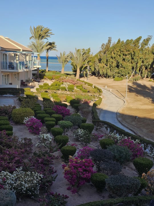 Gartenanlage Mövenpick Resort & Spa El Gouna