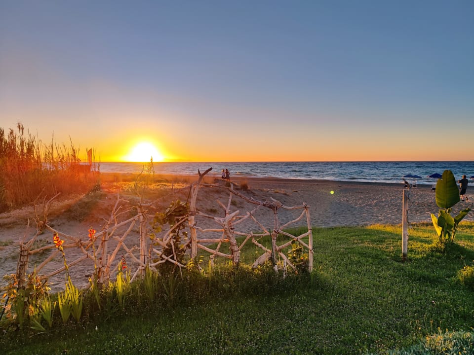 Gartenanlage Hotel Kathrin Beach
