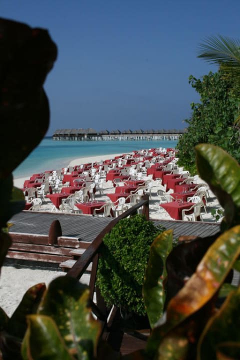 Vorbereitung für das Abendessen Sun Siyam Vilu Reef