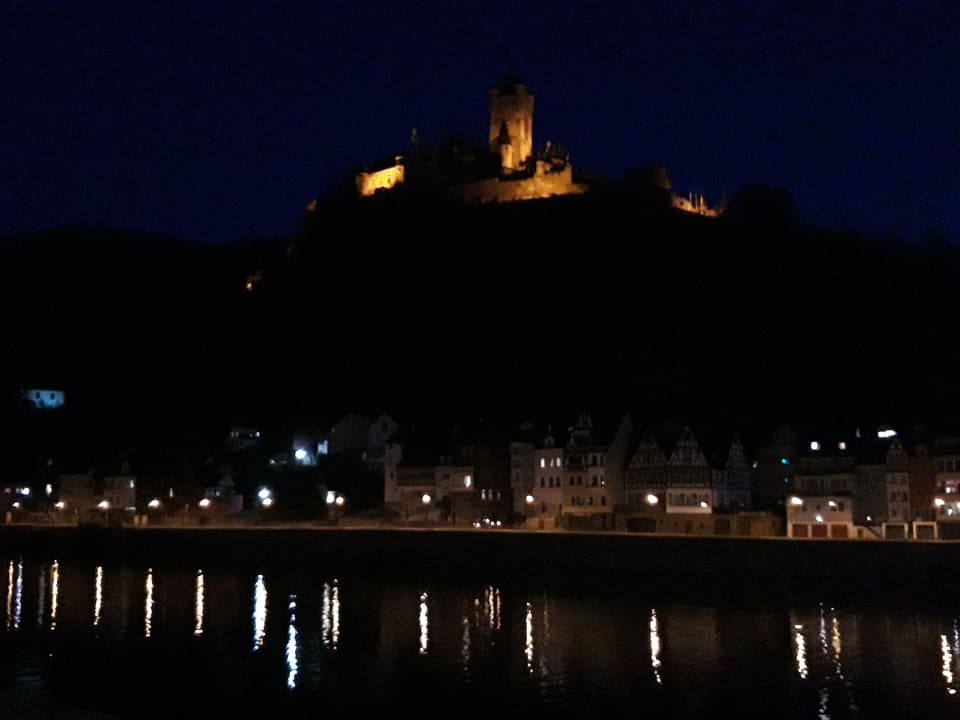 Ausblick Moselstern Hotel Brixiade & Triton