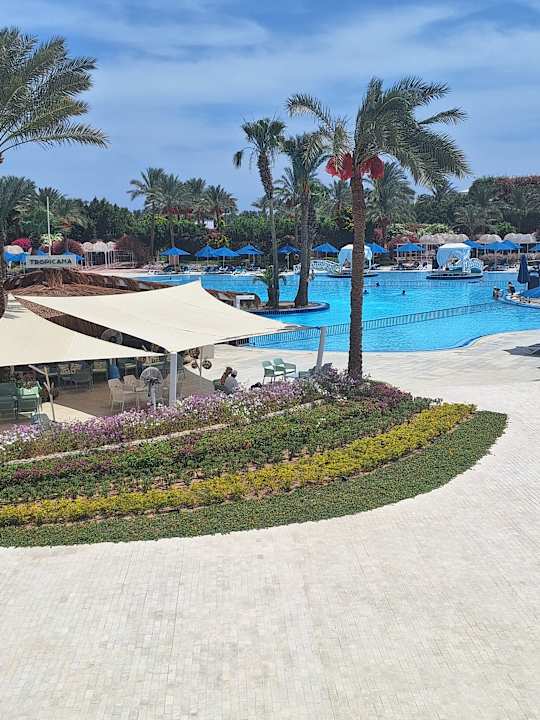 Außenansicht Desert Rose