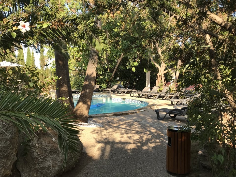 Pool Lago Garden