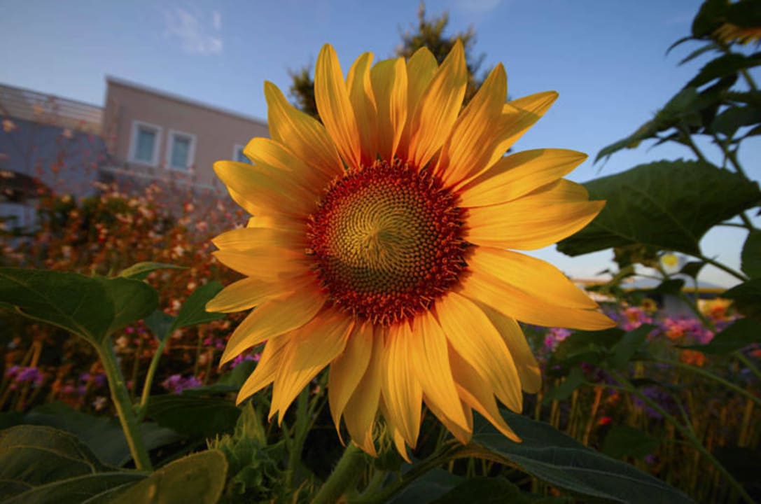 Club Magic Life Marmari Palace Atlantica Marmari Palace