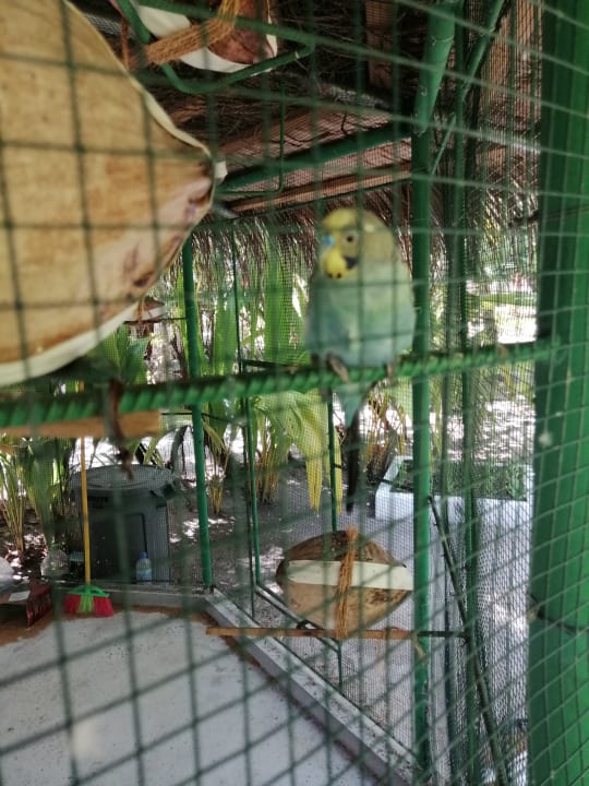 Gartenanlage Thulhagiri Island Resort