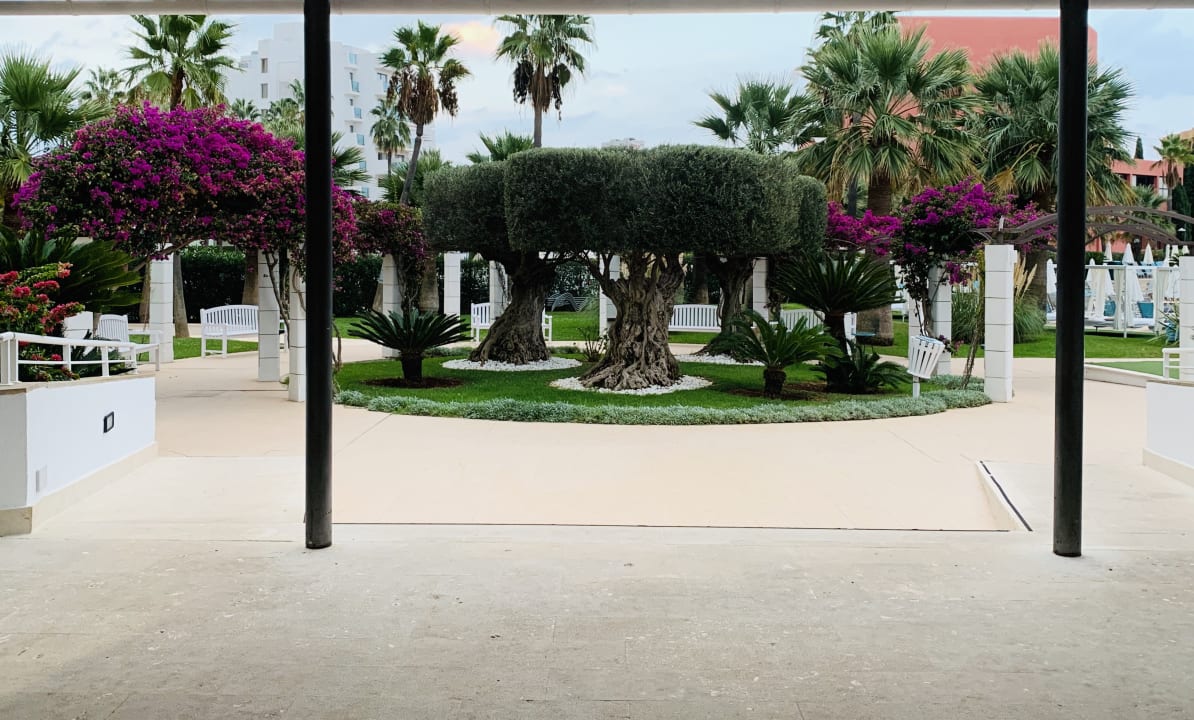 Gartenanlage Hotel Cala Millor Garden - Adults only