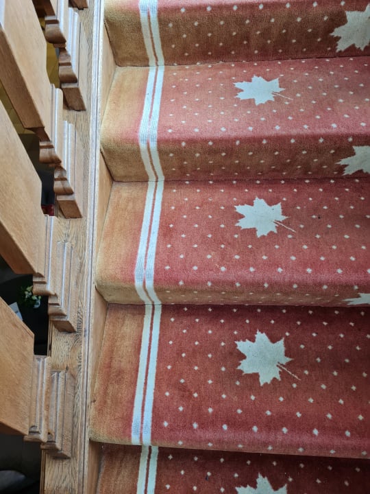 Lobby Berghotel Hoher Knochen