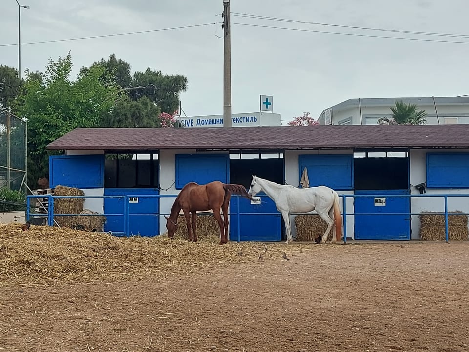 Sport & Freizeit Sunrise Resort Hotel