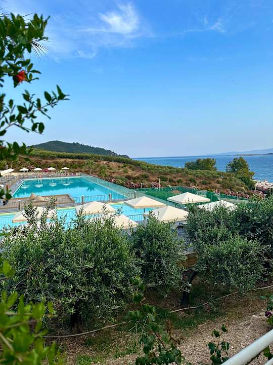 Pool Akrathos Beach Hotel