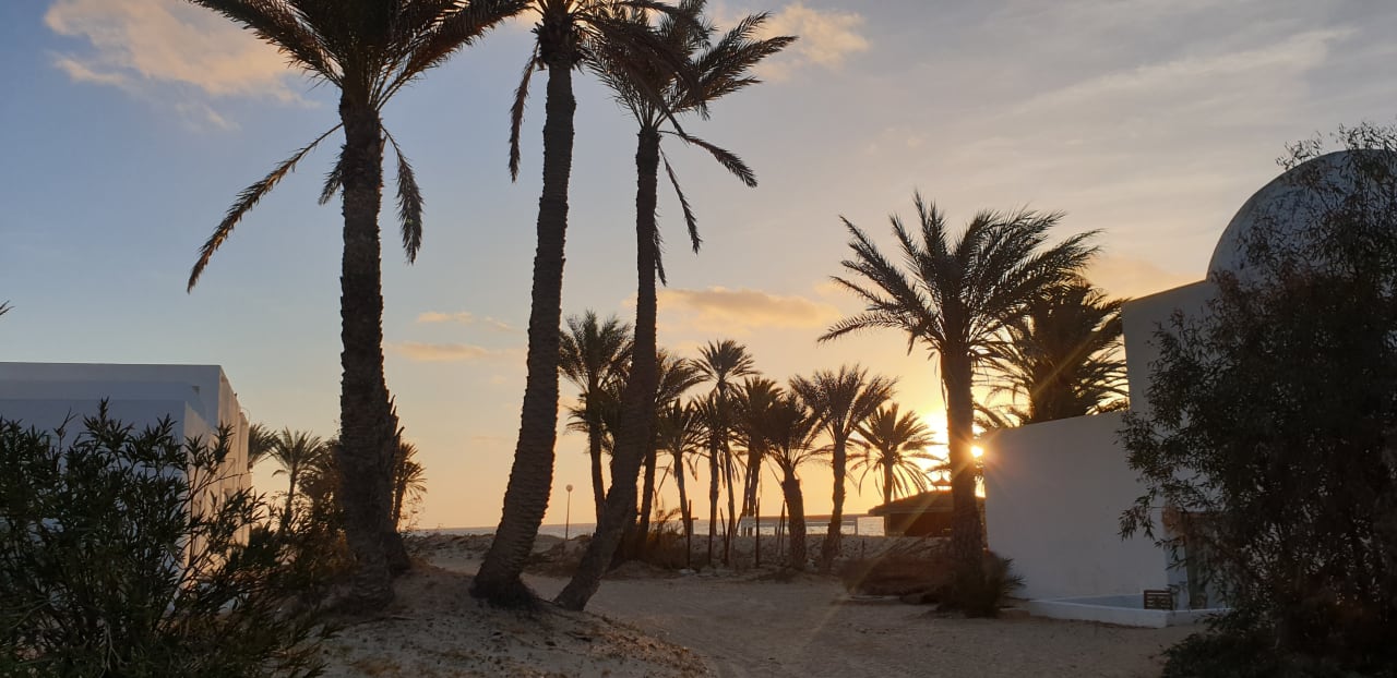 Ausblick Hotel El Mouradi Djerba Menzel